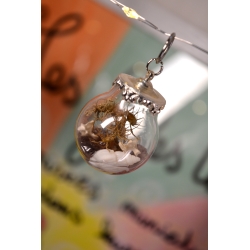 Mini boule curieuse Temps précieux