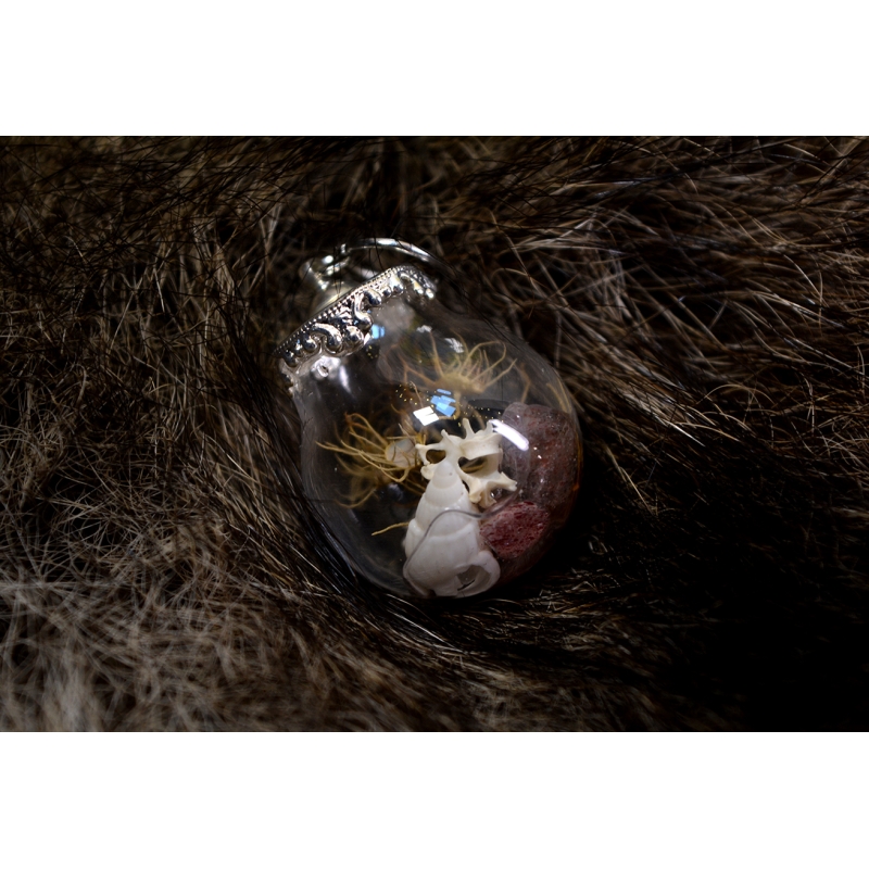 Mini boule curieuse Temps précieux