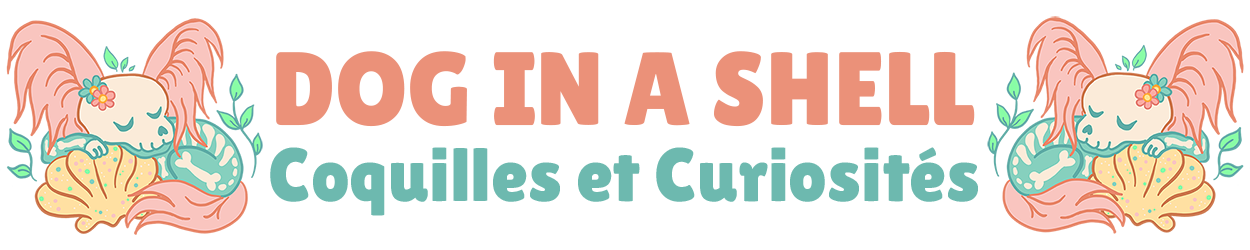 Dog in a Shell - Coquilles et curiosités